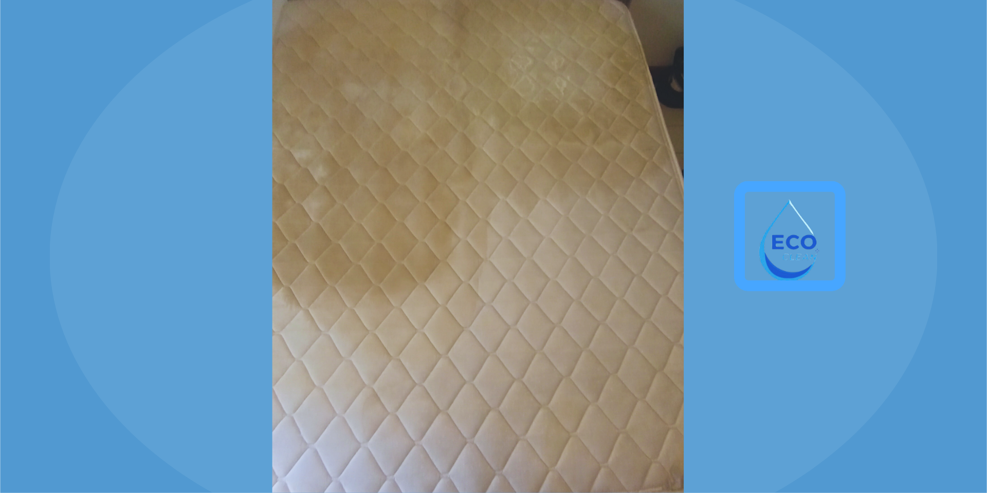 Limpieza de colchones en Mendoza